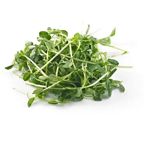 Maple Pea Sprouts (Dou Miao)