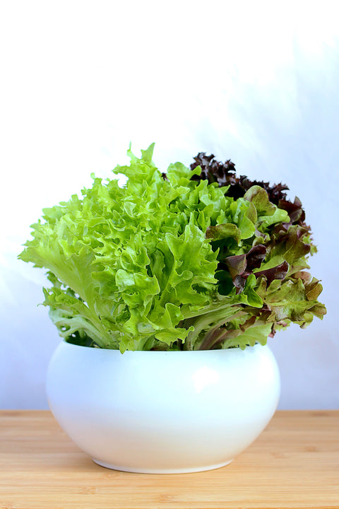 Bountiful Harvest