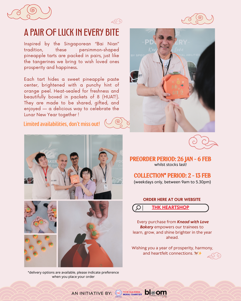 Chinese New Year Collection 2026