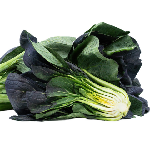 Bokchoy "Red Summer" (Purple Leaved)