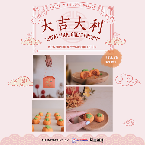 Chinese New Year Collection 2026