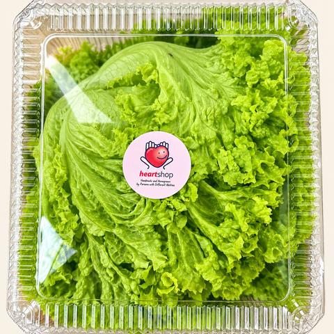 Lollo Bionda Green Coral Lettuce
