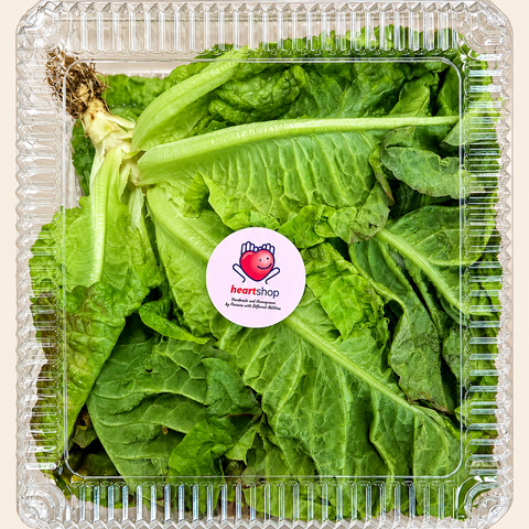 Red Romaine Lettuce