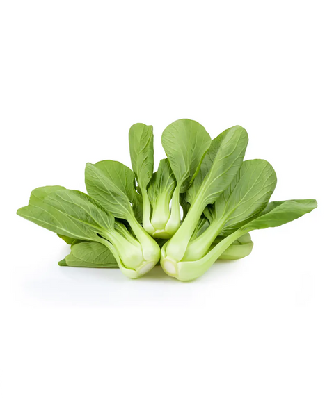 Shanghai Green Bokchoy