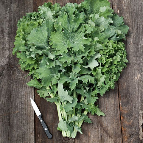 Siberian Kale Leaves