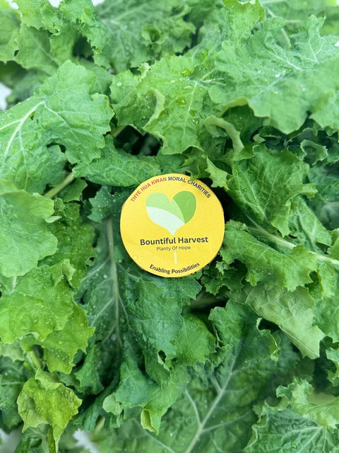 Siberian Kale Leaves